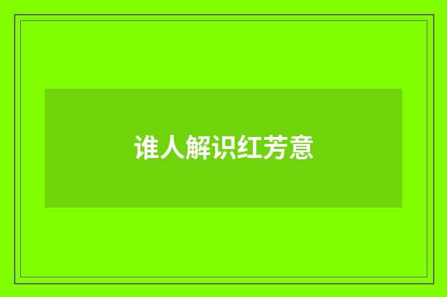 谁人解识红芳意
