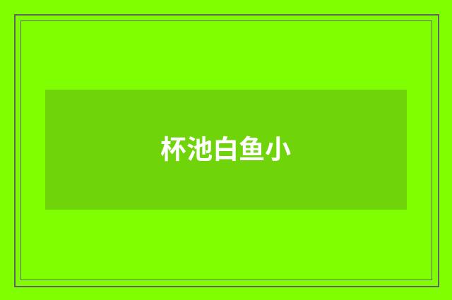 杯池白鱼小