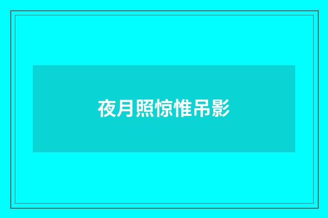夜月照惊惟吊影