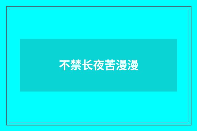 不禁长夜苦漫漫