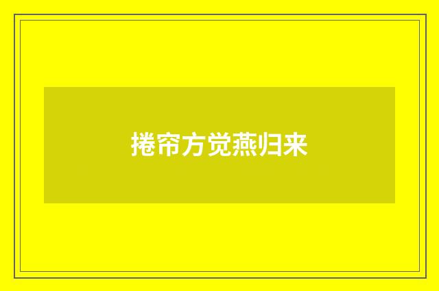 捲帘方觉燕归来