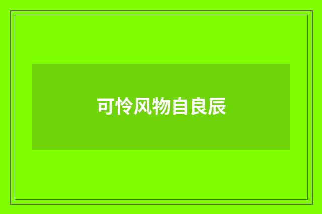 可怜风物自良辰