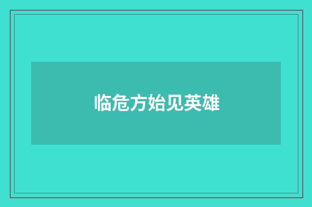 临危方始见英雄