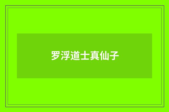 罗浮道士真仙子