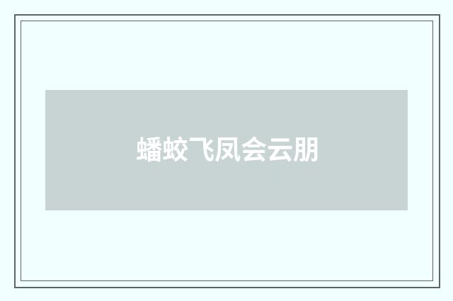 蟠蛟飞凤会云朋