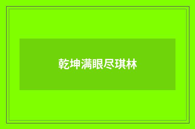 乾坤满眼尽琪林
