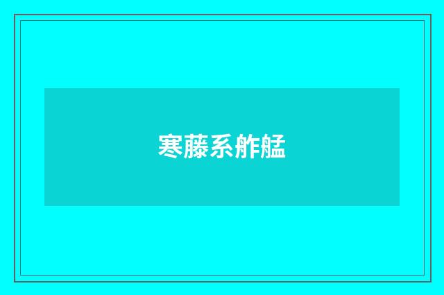 寒藤系舴艋