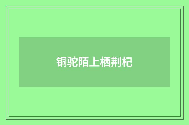 铜驼陌上栖荆杞