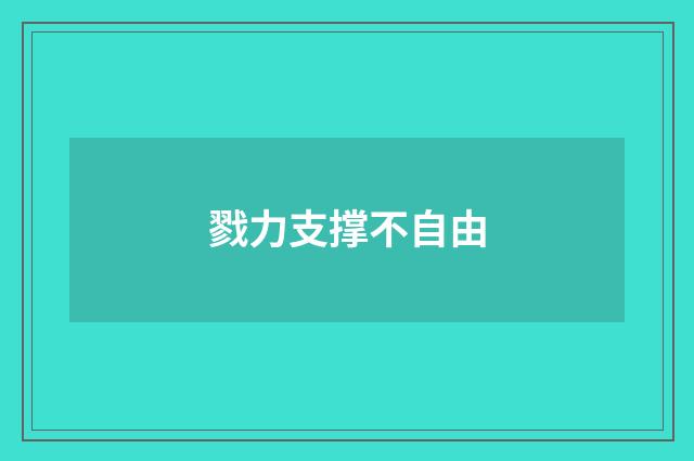 戮力支撑不自由
