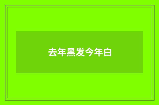 去年黑发今年白