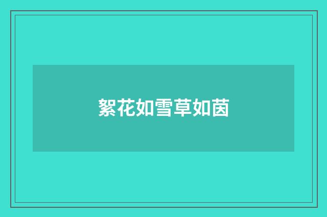 絮花如雪草如茵