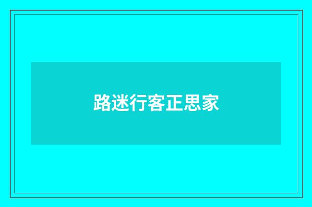 路迷行客正思家