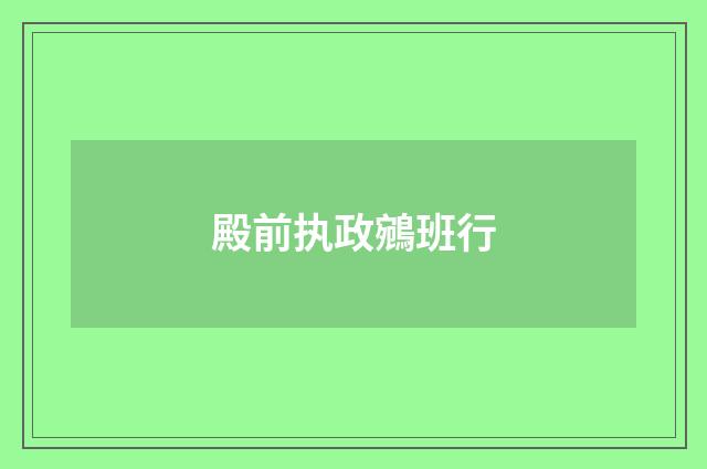 殿前执政鵷班行