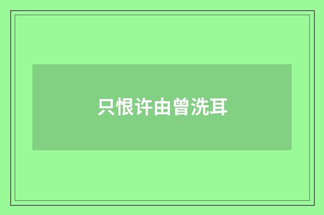 只恨许由曾洗耳
