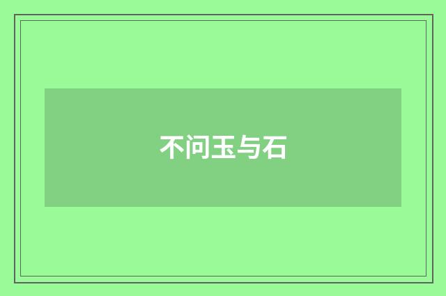 不问玉与石