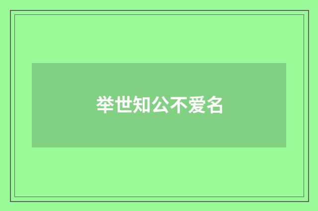 举世知公不爱名