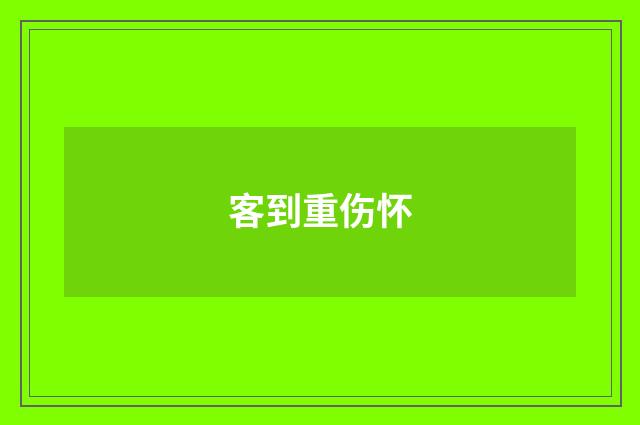 客到重伤怀
