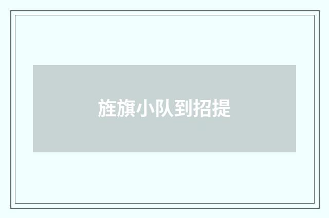 旌旗小队到招提