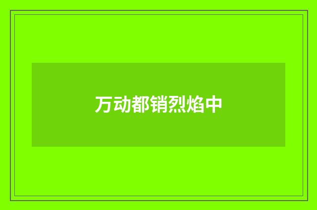 万动都销烈焰中