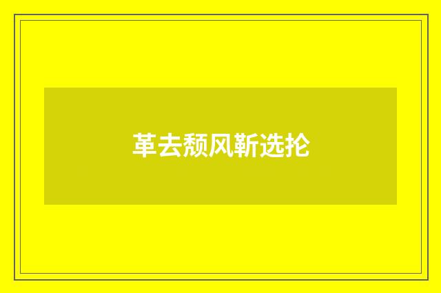 革去颓风靳选抡
