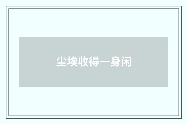 尘埃收得一身闲