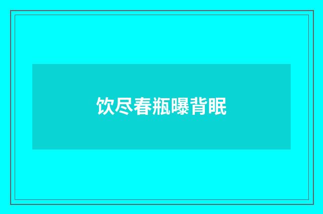 饮尽春瓶曝背眠