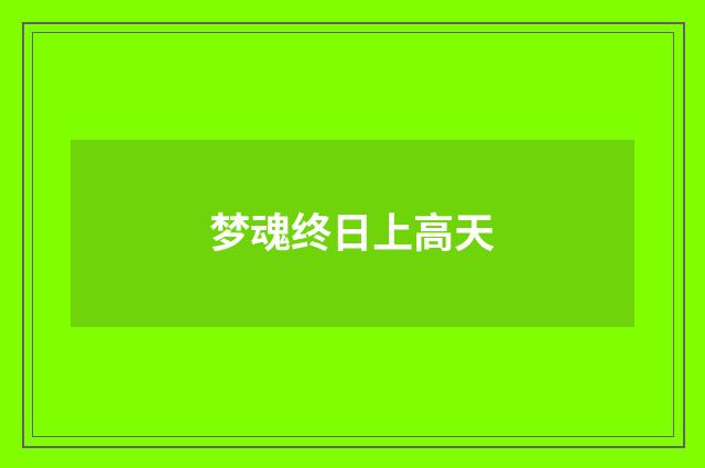 梦魂终日上高天