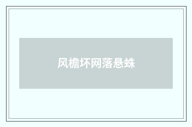 风檐坏网落悬蛛