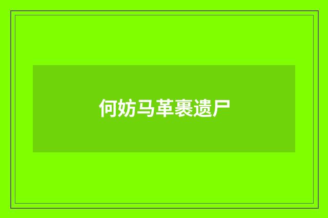 何妨马革裹遗尸