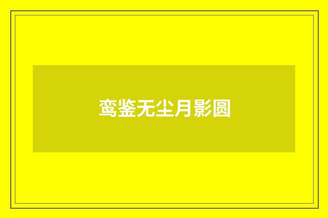 鸾鉴无尘月影圆