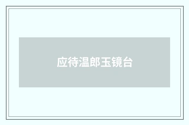 应待温郎玉镜台
