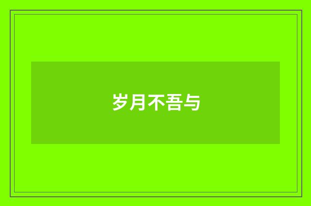 岁月不吾与