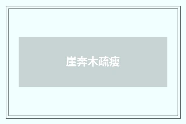 崖奔木疏瘦