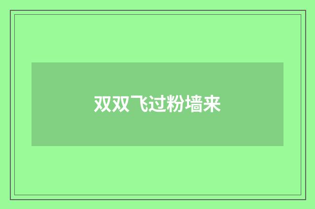 双双飞过粉墙来