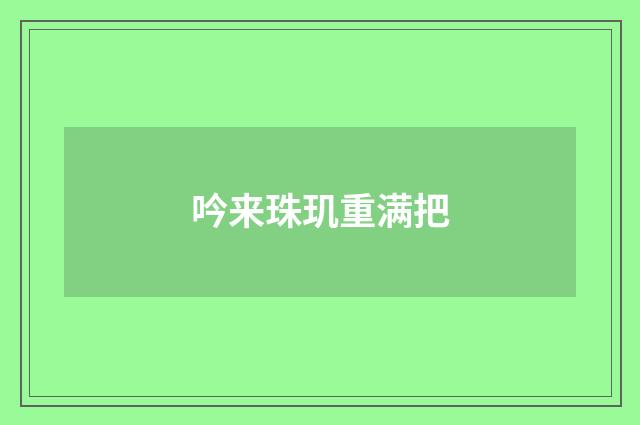 吟来珠玑重满把
