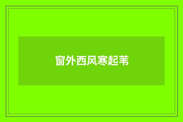 窗外西风寒起苇