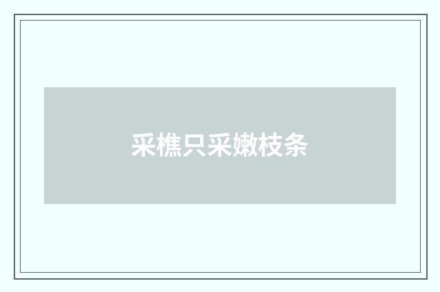 采樵只采嫩枝条
