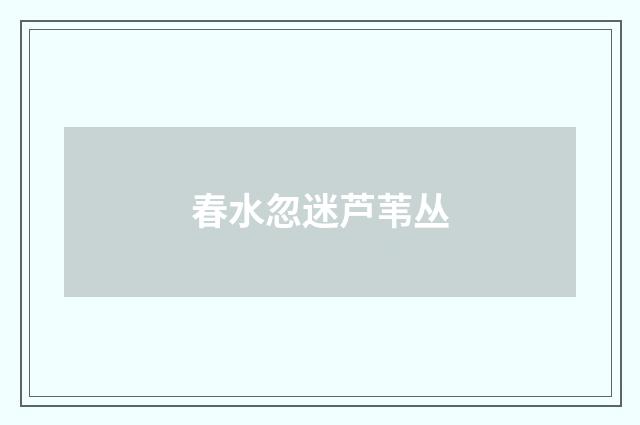 春水忽迷芦苇丛