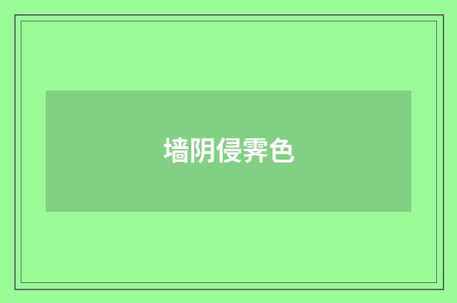 墙阴侵霁色