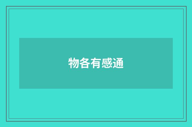 物各有感通
