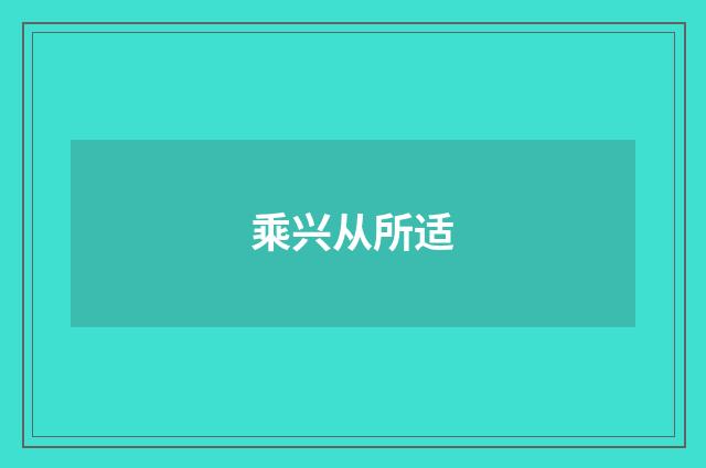 乘兴从所适