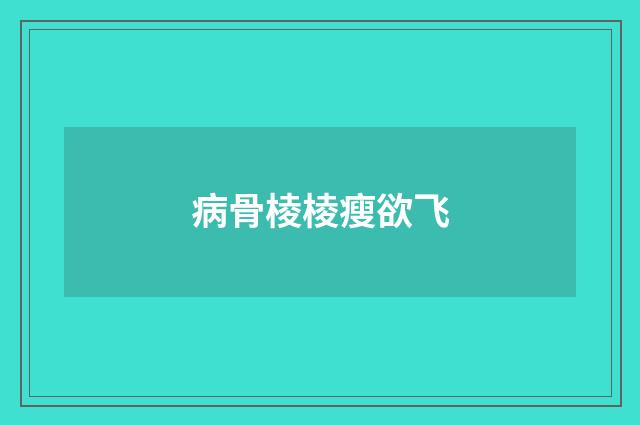 病骨棱棱瘦欲飞