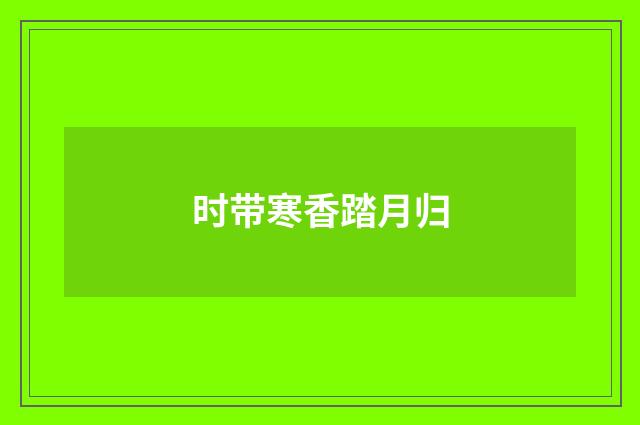 时带寒香踏月归