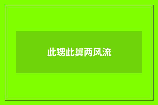 此甥此舅两风流