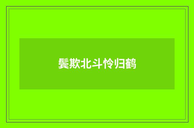 鬓欺北斗怜归鹤
