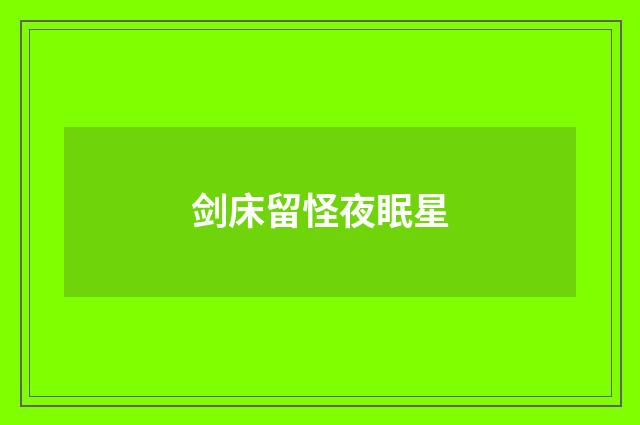 剑床留怪夜眠星