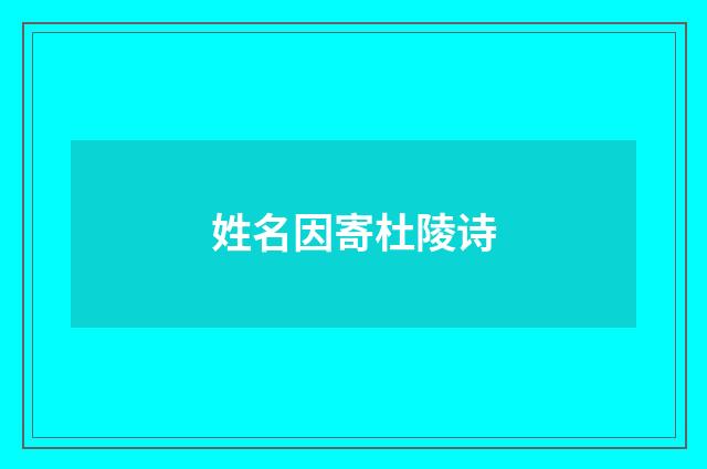 姓名因寄杜陵诗