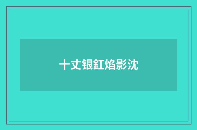 十丈银釭焰影沈