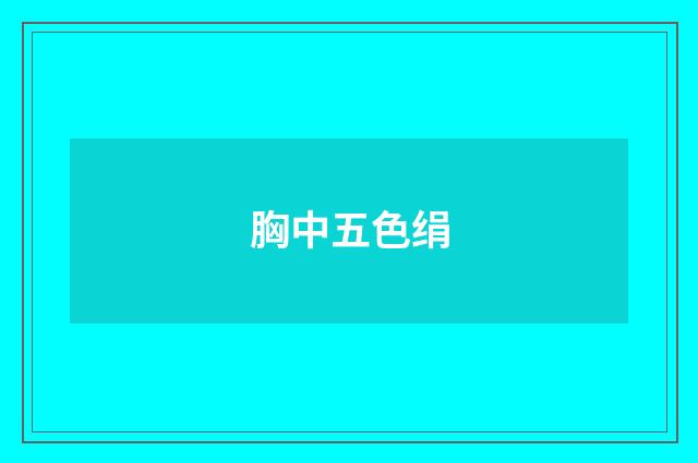 胸中五色绢