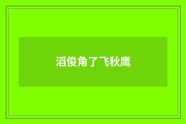 滔俊角了飞秋鹰